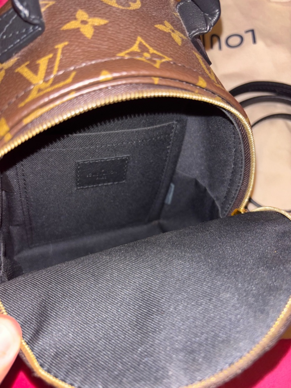 Louis Vuitton Monogram palm springs mini Backpack in Brown with Gold Hardware - Picture 8 of 13